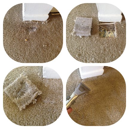 carpet tear or fray before and after photo; the results of our carpet patching and repair services